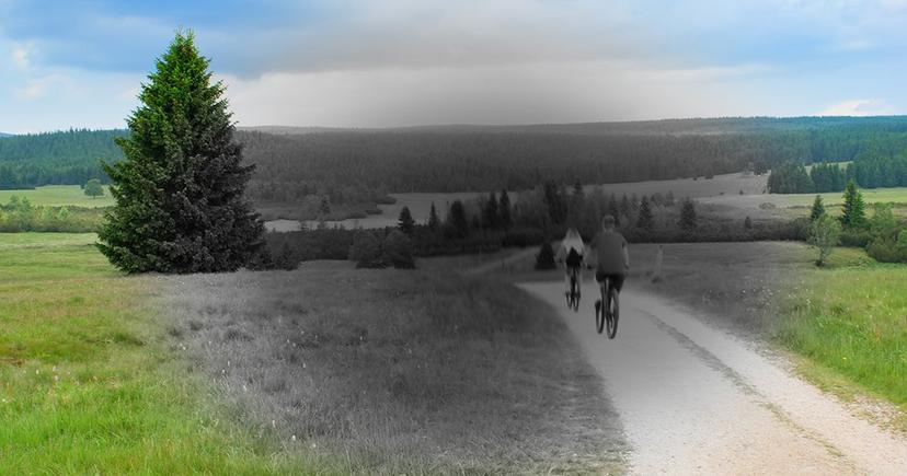 person with macular degeneration first person view